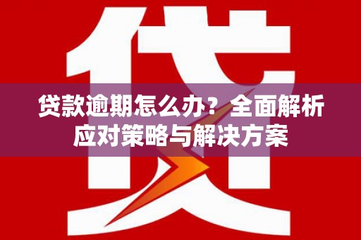 肃南贷款逾期怎么办？全面解析应对策略与解决方案