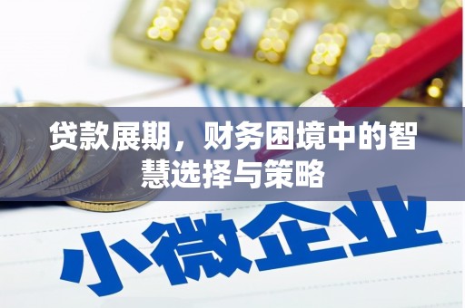 肃南贷款展期，财务困境中的智慧选择与策略