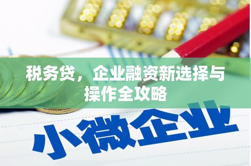 肃南税务贷，企业融资新选择与操作全攻略