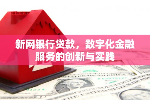 肃南新网银行贷款，数字化金融服务的创新与实践