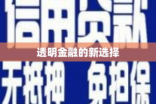 肃南透明金融的新选择