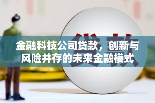 肃南金融科技公司贷款，创新与风险并存的未来金融模式