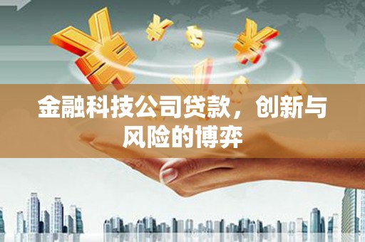 肃南金融科技公司贷款，创新与风险的博弈