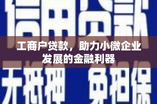 肃南工商户贷款，助力小微企业发展的金融利器