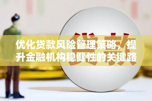 肃南优化贷款风险管理策略，提升金融机构稳健性的关键路径