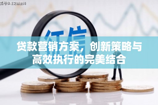 肃南贷款营销方案，创新策略与高效执行的完美结合