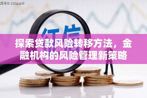 肃南探索贷款风险转移方法，金融机构的风险管理新策略