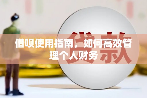 肃南借呗使用指南，如何高效管理个人财务