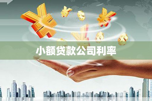 肃南小额贷款公司利率