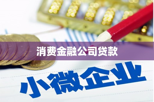 肃南消费金融公司贷款