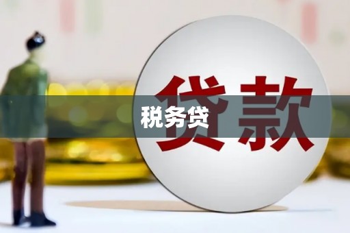 肃南税务贷
