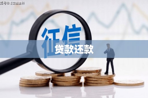 肃南贷款还款