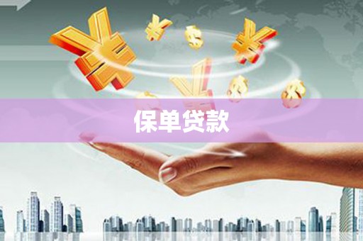 肃南保单贷款