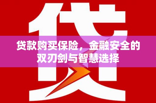 肃南贷款购买保险，金融安全的双刃剑与智慧选择