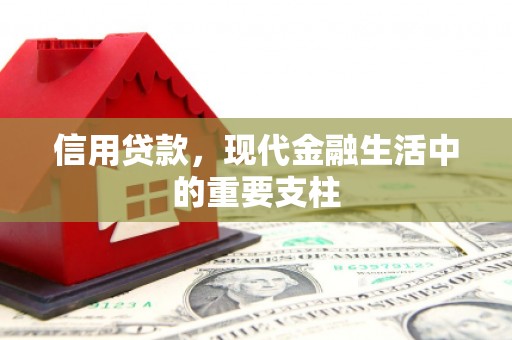 肃南信用贷款，现代金融生活中的重要支柱