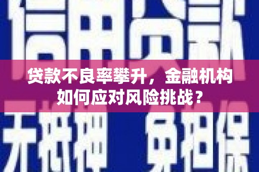 肃南贷款不良率攀升，金融机构如何应对风险挑战？