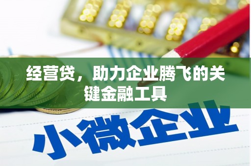 肃南经营贷，助力企业腾飞的关键金融工具