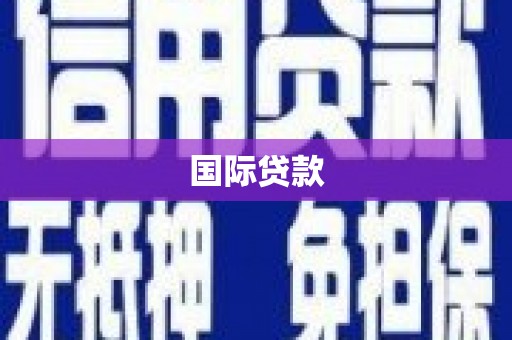 肃南国际贷款