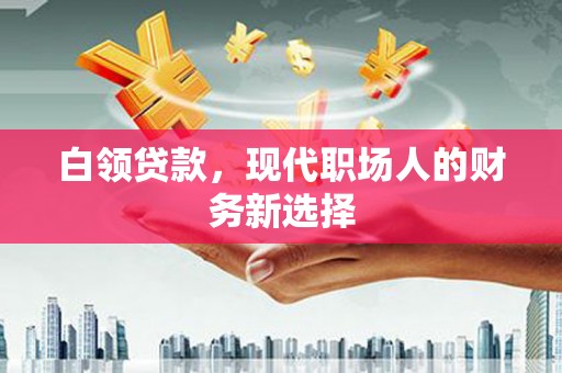 肃南白领贷款，现代职场人的财务新选择