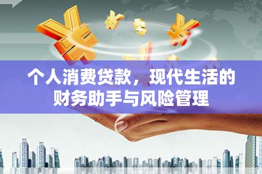 肃南个人消费贷款，现代生活的财务助手与风险管理