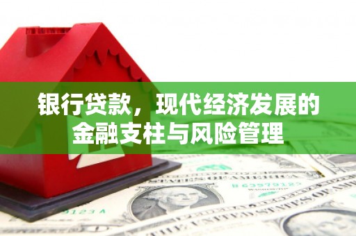 肃南银行贷款，现代经济发展的金融支柱与风险管理