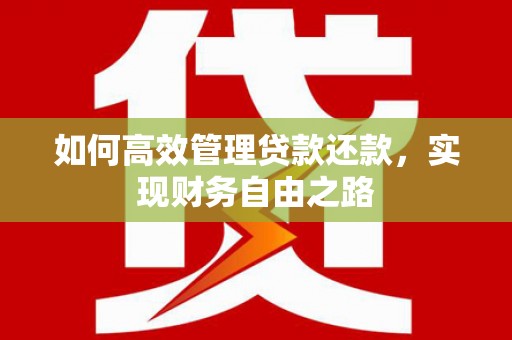 肃南如何高效管理贷款还款，实现财务自由之路