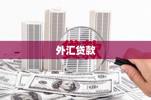 肃南外汇贷款