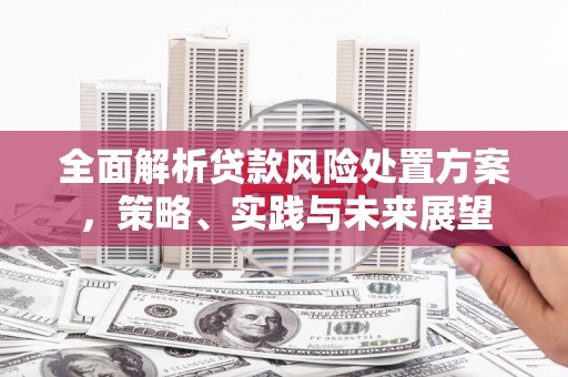 肃南全面解析贷款风险处置方案，策略、实践与未来展望