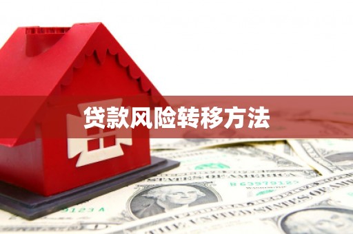 肃南贷款风险转移方法