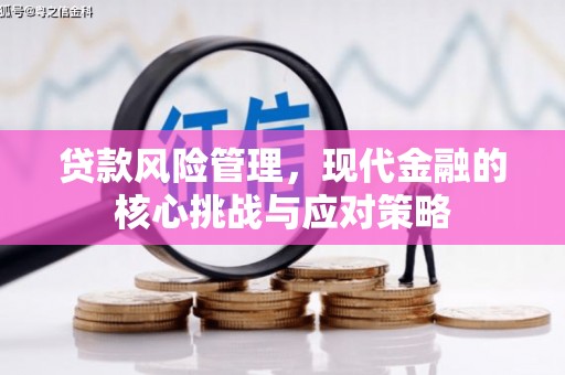 肃南贷款风险管理，现代金融的核心挑战与应对策略