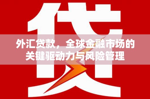 肃南外汇贷款，全球金融市场的关键驱动力与风险管理
