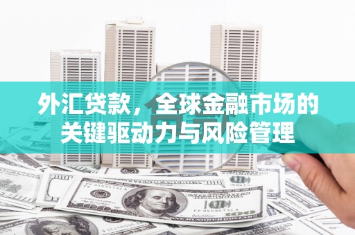 肃南外汇贷款，全球金融市场的关键驱动力与风险管理
