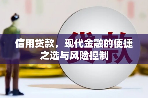 肃南信用贷款，现代金融的便捷之选与风险控制