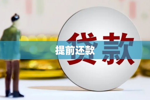 肃南提前还款