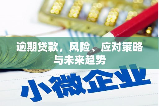 肃南逾期贷款，风险、应对策略与未来趋势