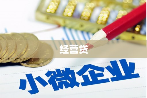 肃南经营贷