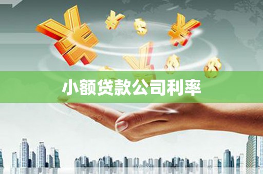 肃南小额贷款公司利率