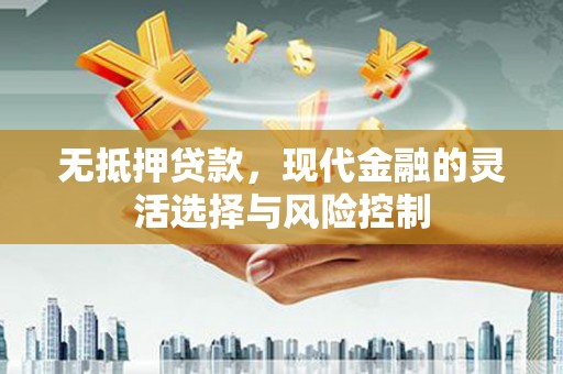 肃南无抵押贷款，现代金融的灵活选择与风险控制