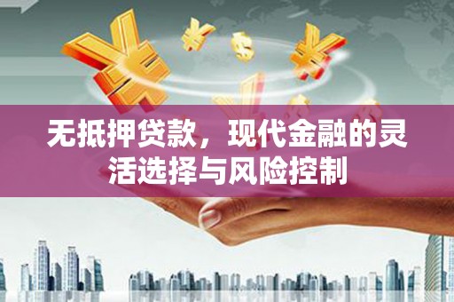 肃南无抵押贷款，现代金融的灵活选择与风险控制