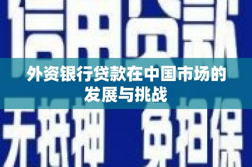 肃南外资银行贷款在中国市场的发展与挑战