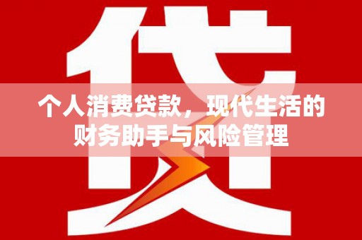 肃南个人消费贷款，现代生活的财务助手与风险管理