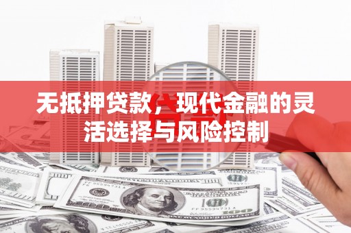肃南无抵押贷款，现代金融的灵活选择与风险控制