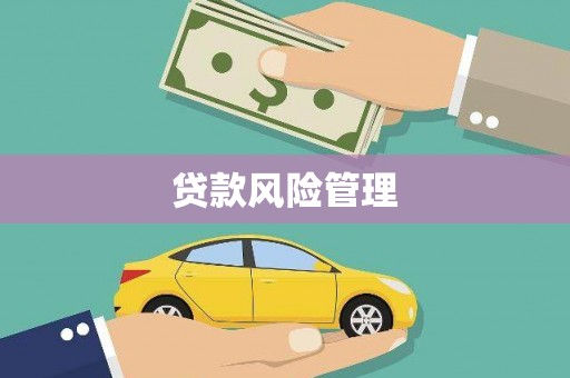 肃南贷款风险管理