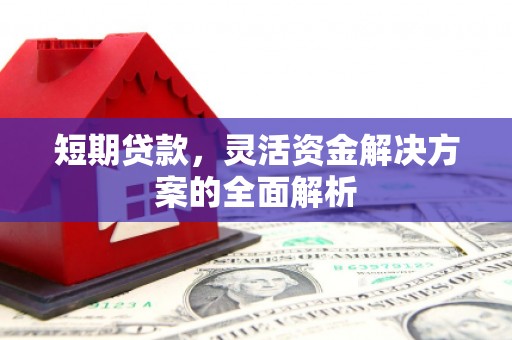 肃南短期贷款，灵活资金解决方案的全面解析
