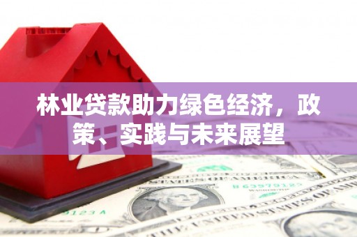 肃南林业贷款助力绿色经济，政策、实践与未来展望