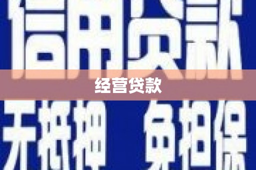 肃南经营贷款
