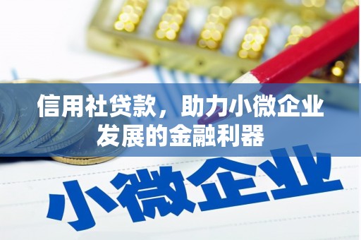 肃南信用社贷款，助力小微企业发展的金融利器