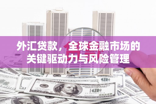 肃南外汇贷款，全球金融市场的关键驱动力与风险管理