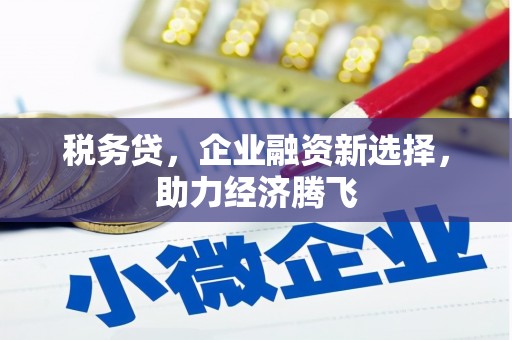 肃南税务贷，企业融资新选择，助力经济腾飞