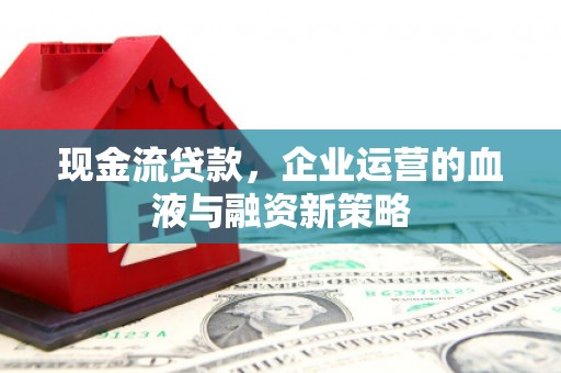肃南现金流贷款，企业运营的血液与融资新策略